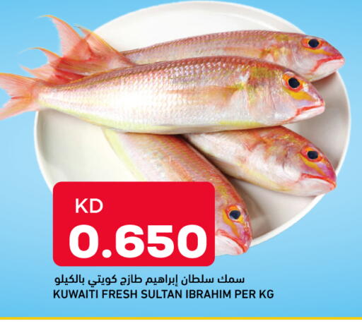 available at Gulfmart in Kuwait - Ahmadi Governorate
