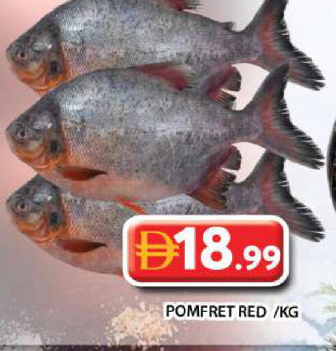 available at Grand Hyper Market in UAE - Dubai