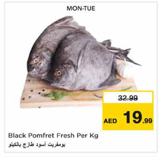 متوفر لدى نستو هايبرماركت في الإمارات العربية المتحدة , الامارات - رَأْس ٱلْخَيْمَة