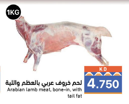 متوفر لدى  رامز في الكويت - محافظة الجهراء