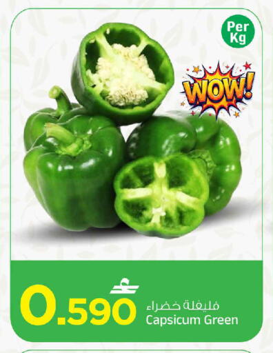 Capsicum متوفر لدى مارك & سايف في عُمان - صُحار‎