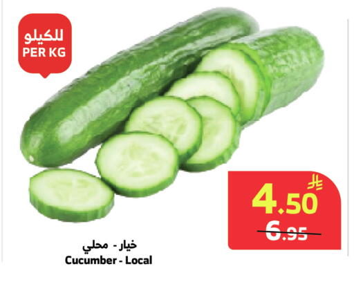 Cucumber متوفر لدى الراية في مملكة العربية السعودية, السعودية, سعودية - القنفذة