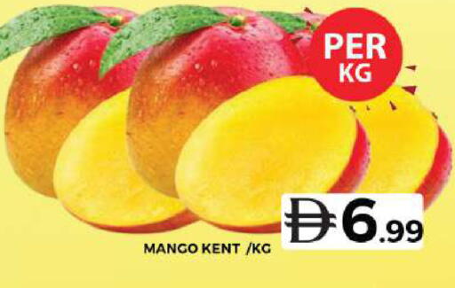 Mango متوفر لدى جراند هايبر ماركت في الإمارات العربية المتحدة , الامارات - دبي