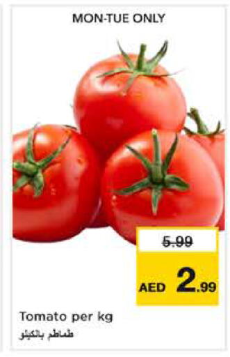 Tomato available at Nesto Hypermarket in UAE - Sharjah / Ajman