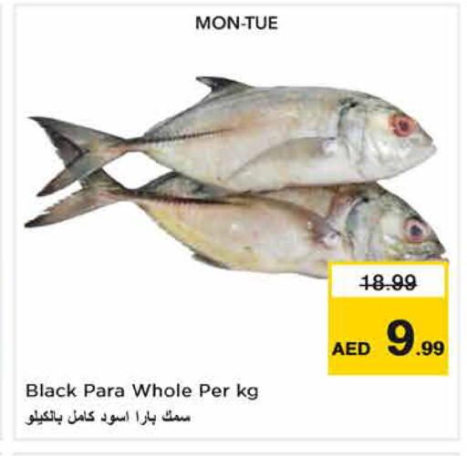 متوفر لدى نستو هايبرماركت في الإمارات العربية المتحدة , الامارات - الشارقة / عجمان