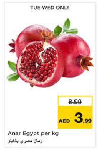 from Egypt available at Nesto Hypermarket in UAE - Sharjah / Ajman
