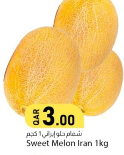 Melon من Iran متوفر لدى دانا ماركت في قطر - الضعاين