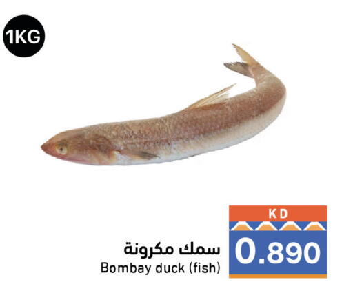 متوفر لدى  رامز في الكويت - محافظة الجهراء