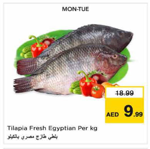 متوفر لدى نستو هايبرماركت في الإمارات العربية المتحدة , الامارات - رَأْس ٱلْخَيْمَة