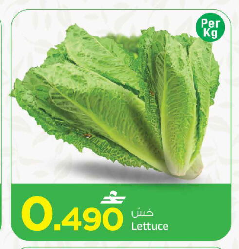 Lettuce متوفر لدى مارك & سايف في عُمان - مسقط‎
