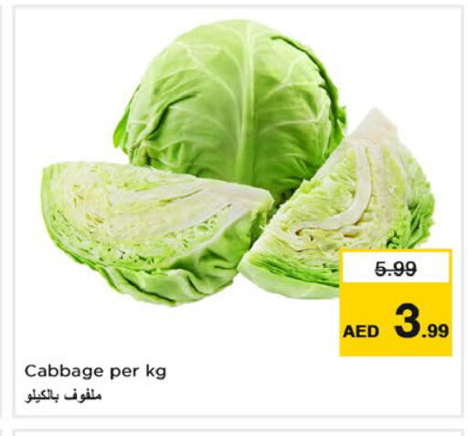 Cabbage متوفر لدى نستو هايبرماركت في الإمارات العربية المتحدة , الامارات - رَأْس ٱلْخَيْمَة