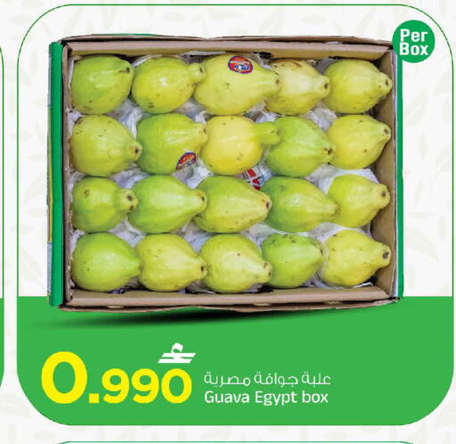 Guava من Egypt متوفر لدى مارك & سايف في عُمان - مسقط‎