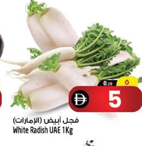 Radish متوفر لدى سفاري هايبر ماركت في الإمارات العربية المتحدة , الامارات - رَأْس ٱلْخَيْمَة