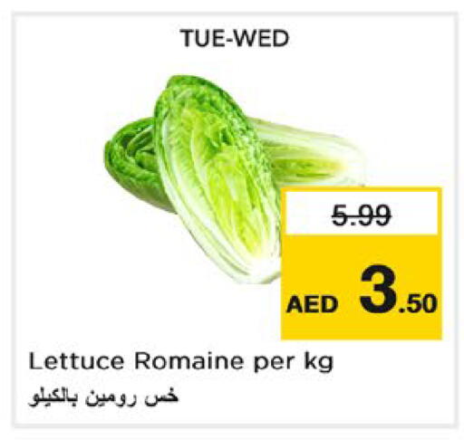 Lettuce متوفر لدى نستو هايبرماركت في الإمارات العربية المتحدة , الامارات - ٱلْفُجَيْرَة‎