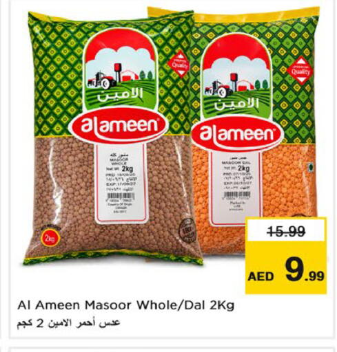 available at Nesto Hypermarket in UAE - Ras al Khaimah
