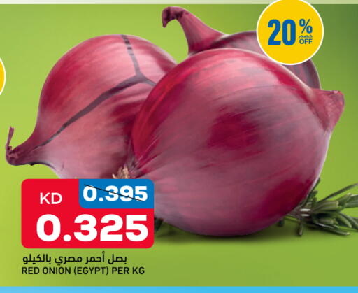 Onion from Egypt available at Oncost in Kuwait - Kuwait City
