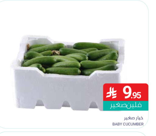 Cucumber متوفر لدى اسواق المنتزه في مملكة العربية السعودية, السعودية, سعودية - المنطقة الشرقية