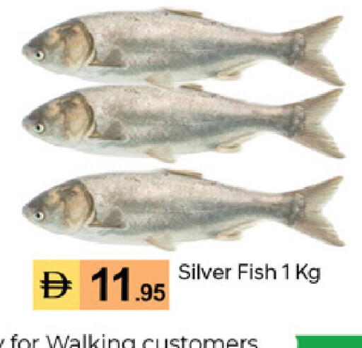 available at TALAL MARKET in UAE - Dubai