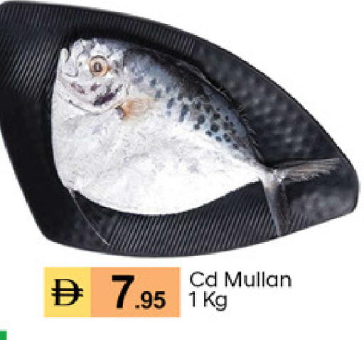available at TALAL MARKET in UAE - Dubai