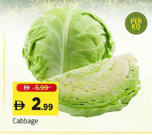 Cabbage available at Mark & Save in UAE - Sharjah / Ajman