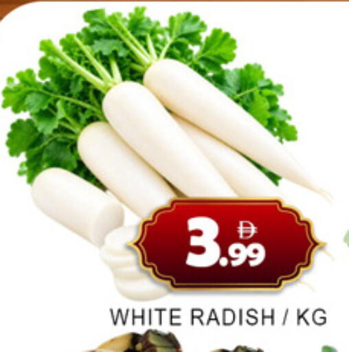 Radish متوفر لدى لكي سنتر في الإمارات العربية المتحدة , الامارات - الشارقة / عجمان