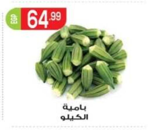 available at El mhallawy Sons in Egypt - Cairo