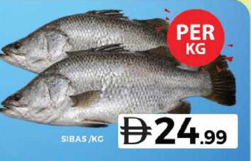 available at Grand Hyper Market in UAE - Dubai