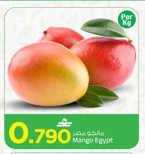 Mango من Egypt متوفر لدى مارك & سايف في عُمان - مسقط‎