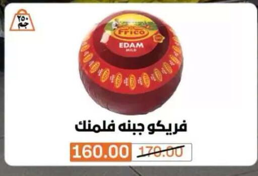 متوفر لدى بيم ماركت في Egypt - القاهرة