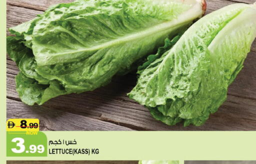Lettuce متوفر لدى هاشم هايبرماركت في الإمارات العربية المتحدة , الامارات - الشارقة / عجمان