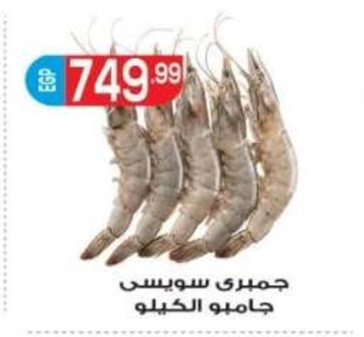 available at El mhallawy Sons in Egypt - Cairo