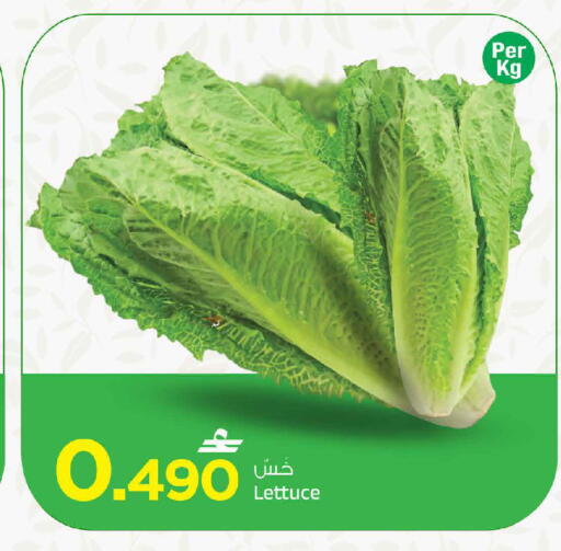 Lettuce متوفر لدى مارك & سايف في عُمان - مسقط‎