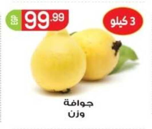 متوفر لدى أولاد المحاوى في Egypt - القاهرة