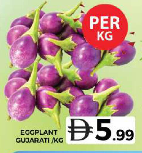 Eggplant متوفر لدى جراند هايبر ماركت في الإمارات العربية المتحدة , الامارات - دبي