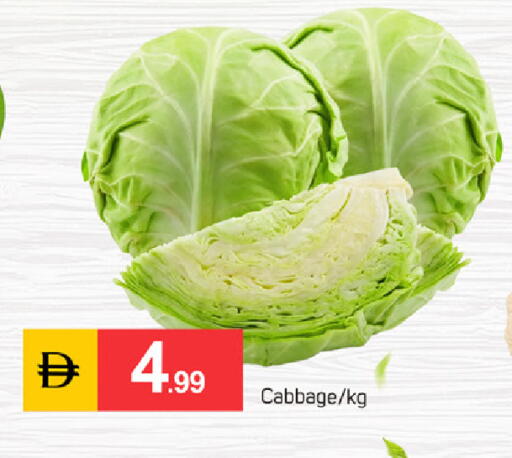 Cabbage available at سوق طلال in الإمارات العربية المتحدة , الامارات - دبي