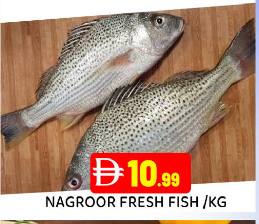 available at عين المدينة هايبرماركت in الإمارات العربية المتحدة , الامارات - الشارقة / عجمان