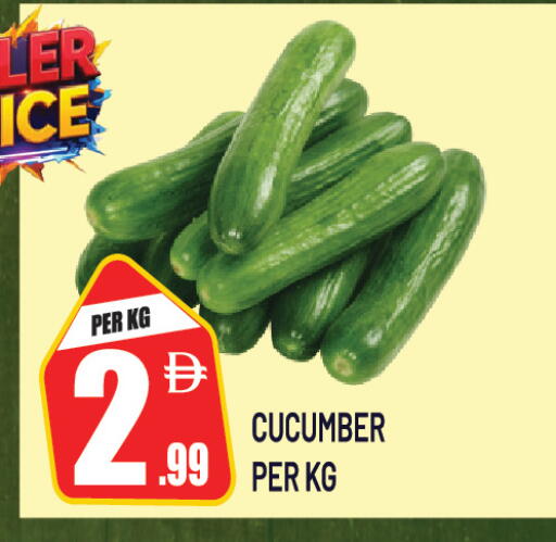 Cucumber available at Dream Land in UAE - Sharjah / Ajman