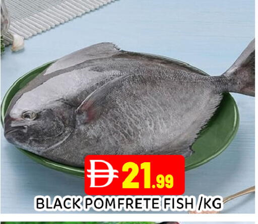 available at عين المدينة هايبرماركت in الإمارات العربية المتحدة , الامارات - الشارقة / عجمان