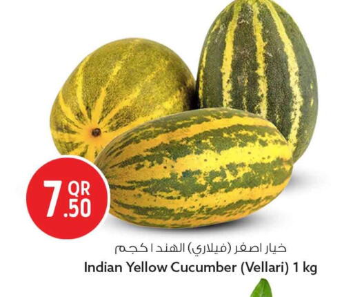 Cucumber from India available at سفاري هايبر ماركت in قطر - أم صلال