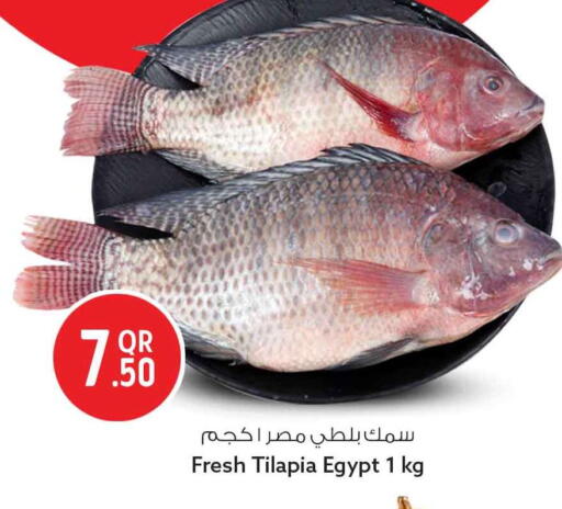 available at سفاري هايبر ماركت in قطر - أم صلال