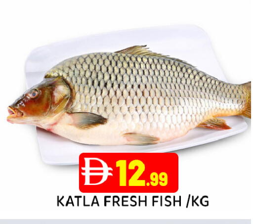 available at عين المدينة هايبرماركت in الإمارات العربية المتحدة , الامارات - الشارقة / عجمان