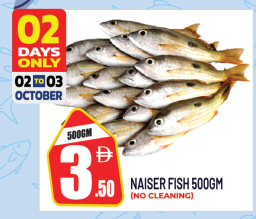 available at Dream Land in UAE - Sharjah / Ajman