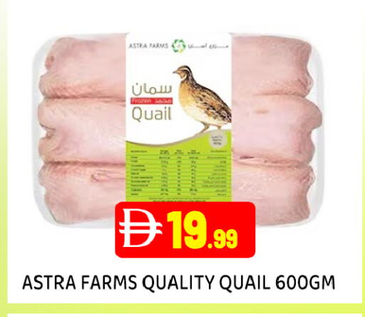 available at عين المدينة هايبرماركت in الإمارات العربية المتحدة , الامارات - الشارقة / عجمان