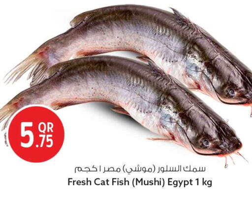 available at سفاري هايبر ماركت in قطر - أم صلال
