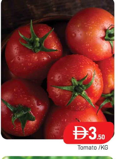 Tomato available at AL MADINA (Dubai) in UAE - Dubai
