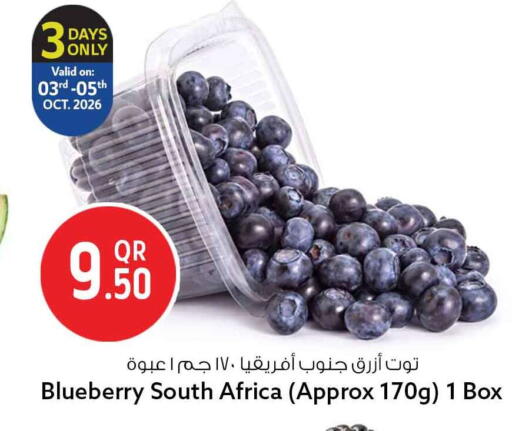 Blueberry BlueBerry from South Africa available at سفاري هايبر ماركت in قطر - الدوحة