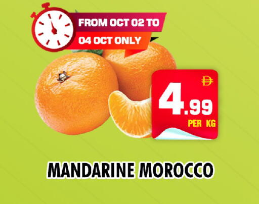 from Morocco available at نايت تو نايت in الإمارات العربية المتحدة , الامارات - الشارقة / عجمان