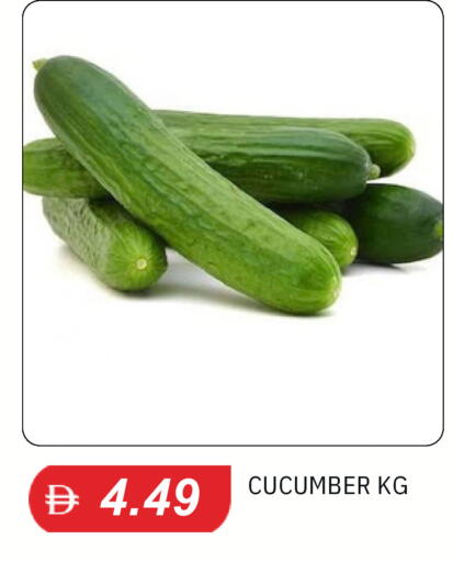 Cucumber available at سوق طلال in الإمارات العربية المتحدة , الامارات - دبي