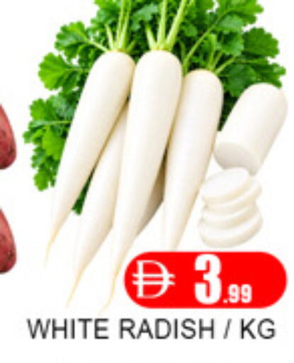 Radish available at لكي سنتر in الإمارات العربية المتحدة , الامارات - الشارقة / عجمان