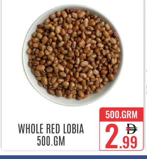 available at دي ستار متجر متعدد الأقسام.ذ.م.م in الإمارات العربية المتحدة , الامارات - دبي